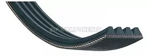 Ремень 1860H9 к сушильной машине Indesit C00145707